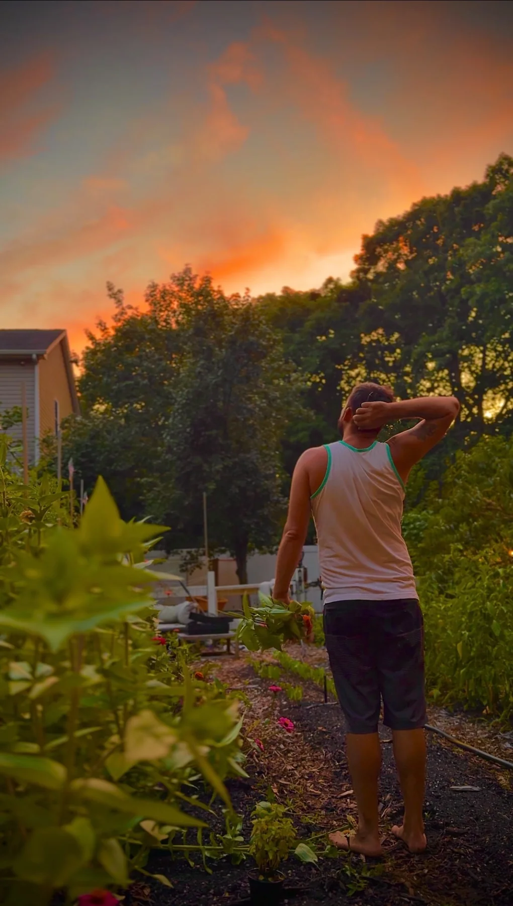 Walking through a garden at sunset